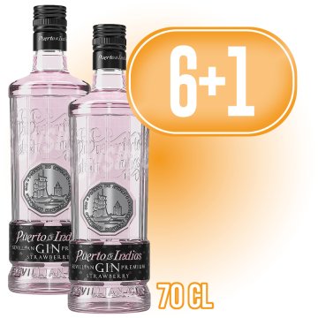 PER 6 AMPOLLES DE GIN PUERTO INDIAS DE MADUIXA, REGAL D'UNA ALTRA AMPOLLA IGUAL.