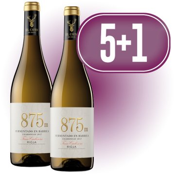 5 CAJAS COTO 875M CHARDONNAY FERMENTADO BARRICA + REGALO 1 CAJA COTO 875 CHARDONNAY FERMENTADO BARRI