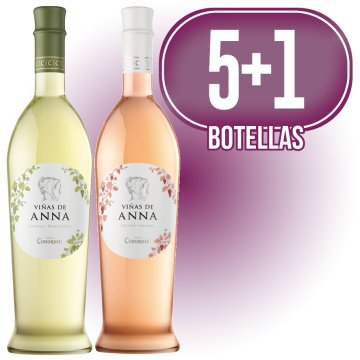 5 BOTELLAS VIÑAS ANNA BLANCO O ROSADO PINOT NOIR + REGALO 1 BOTELLA VIÑAS ANNA BLANCO O ROSADO PINOT