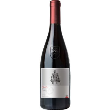 Vino Pago De Otazu Tinto 2022 14º 75 Cl Sr