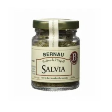 Salvia Bernau Fulls Pot 10 Gr