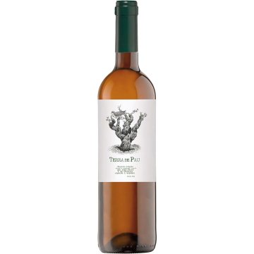 Vi Terra De Pau Blanc 12º 75 Cl